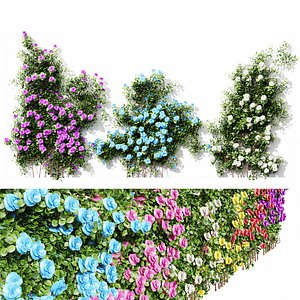 New Plant High detail Climbing Roses Wall01 Grow 3D model
