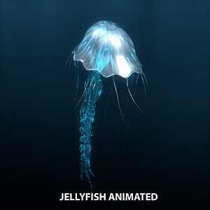 jellyfish animations model