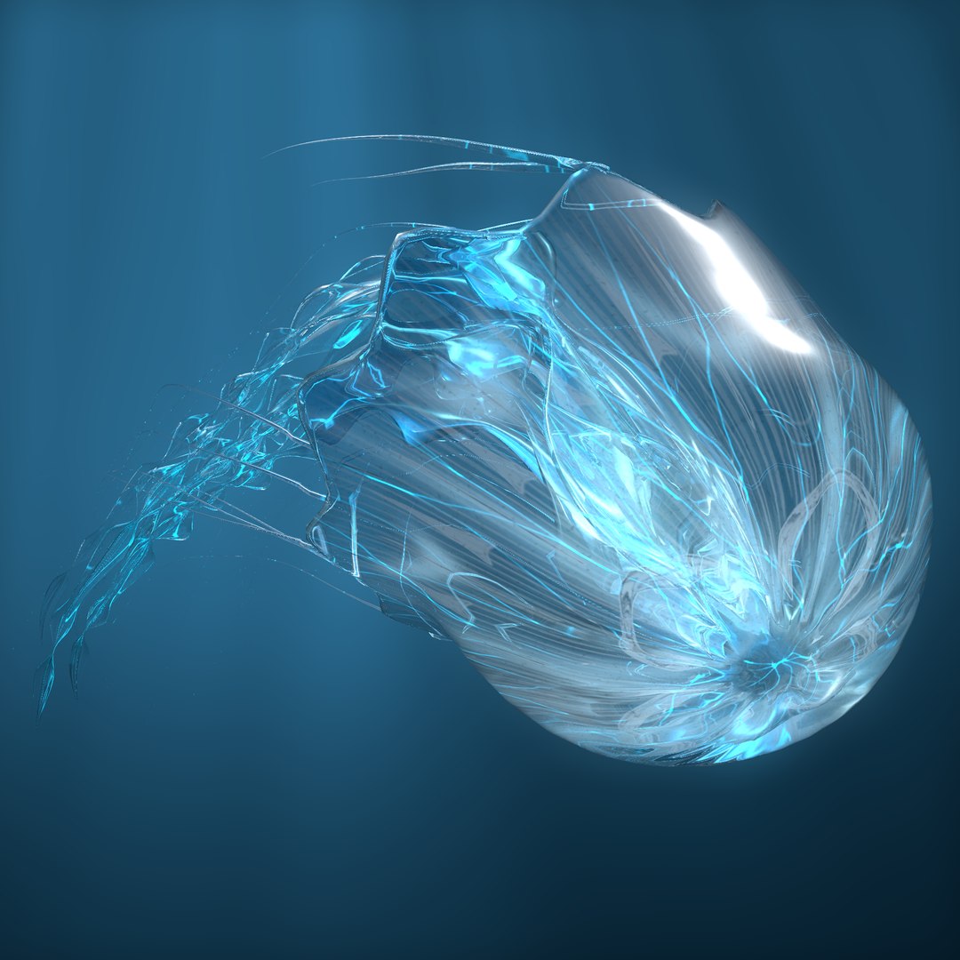 jellyfish animations model https://p.turbosquid.com/ts-thumb/mi/BCGwVG/OLiBBlYR/00_0550/png/1511639938/1920x1080/fit_q87/b48bba9347ce2c4f24017f57dafd7643c46f87fb/00_0550.jpg