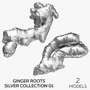 Ginger Roots Silver Collection 01 - 2 models 3D