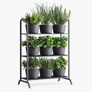 Herb Shelf with Black Pots