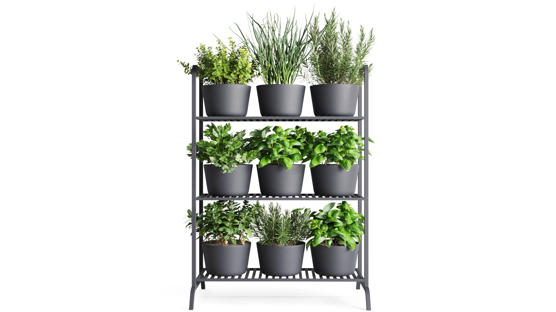 3D Herb Shelf with Black Pots https://p.turbosquid.com/ts-thumb/mi/KlWevx/iu/preview_02/jpg/1762976372/1920x1080/fit_q87/f6648da661d19d5c723dc615b766cc66aeb2638d/preview_02.jpg