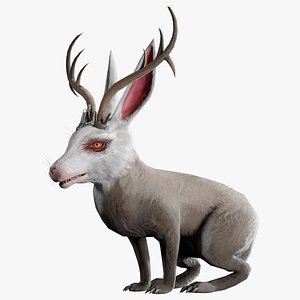 Undead Rabbit - Jackalope