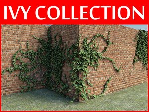 Ivy collection