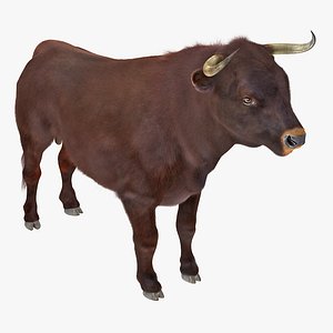3D bull rigged fur