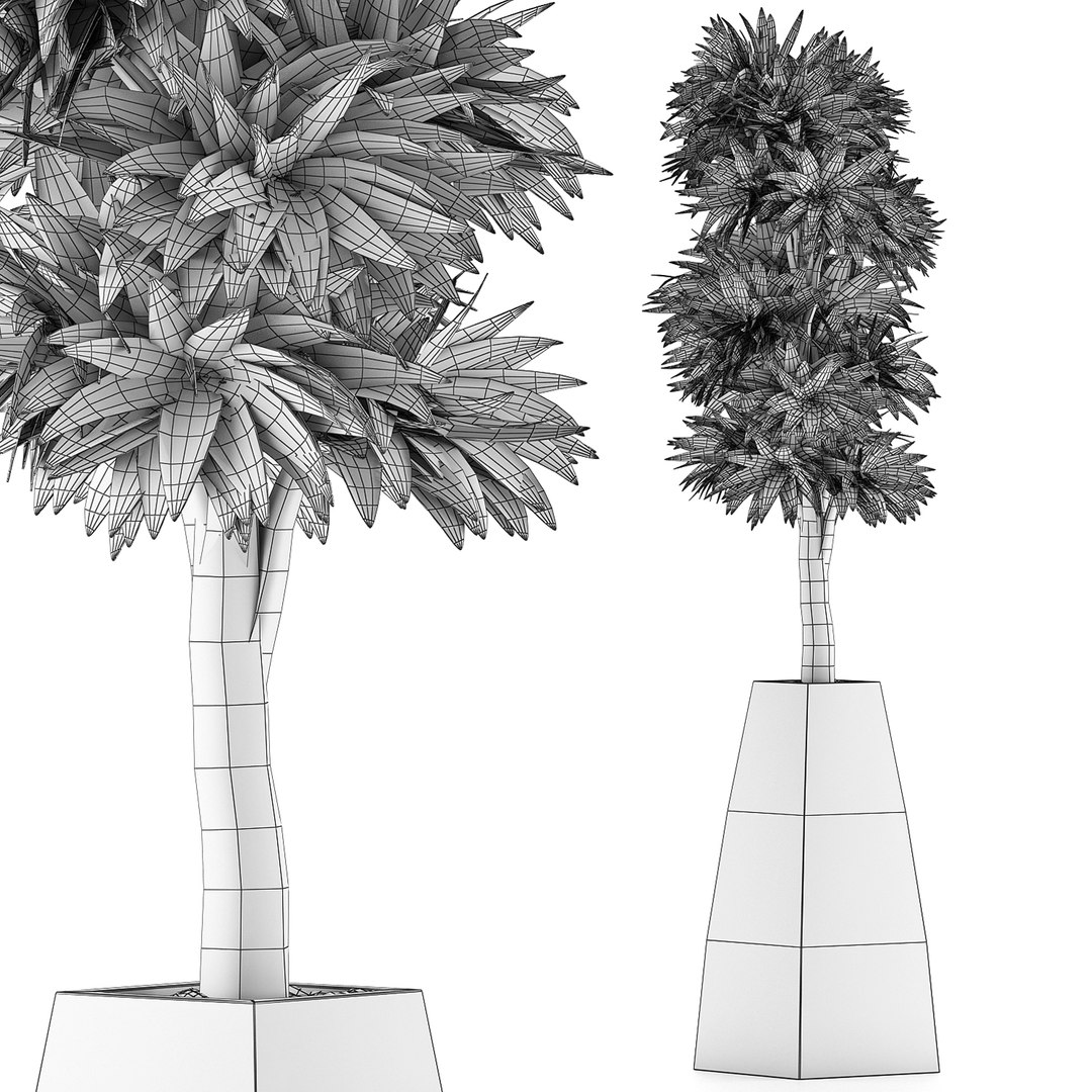 3D exotic plants trees model https://p.turbosquid.com/ts-thumb/mi/XfJbkJ/Qhr8W4Su/5/jpg/1600631577/1920x1080/fit_q87/0c4a9de093e038ca580abc5e42a37b3eec2391bd/5.jpg
