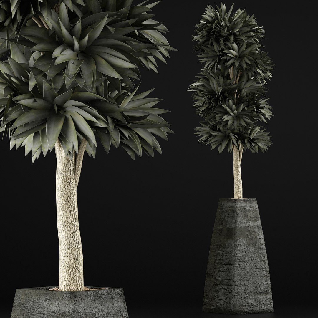 3D exotic plants trees model https://p.turbosquid.com/ts-thumb/mi/XfJbkJ/am2ATqTg/3/jpg/1600631576/1920x1080/fit_q87/5880461f3647ac74410867bebd1dd0e26989ff89/3.jpg