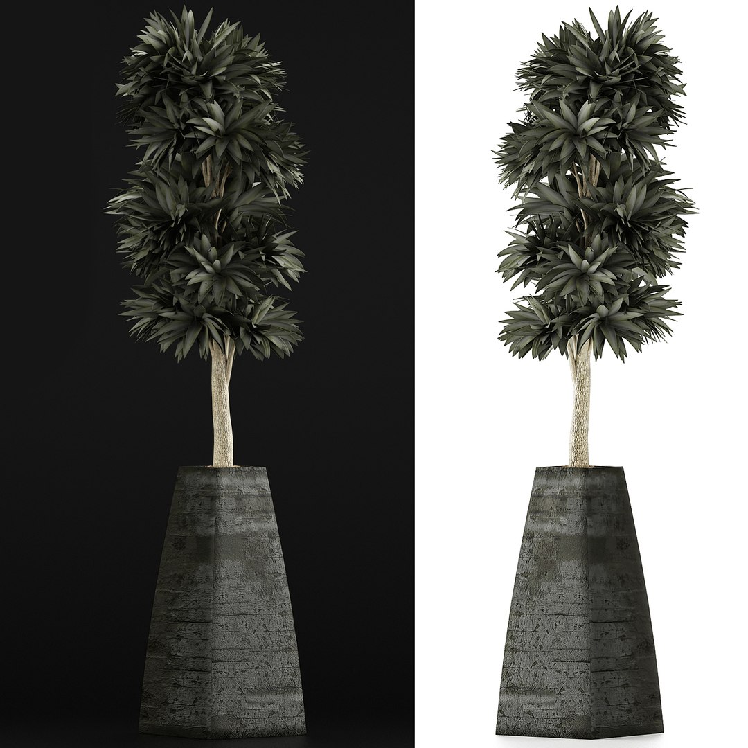 3D exotic plants trees model https://p.turbosquid.com/ts-thumb/mi/XfJbkJ/eM2XWIJj/4/jpg/1600631576/1920x1080/fit_q87/771d8b1326028b486efbb23c813f1a55fb096a6d/4.jpg