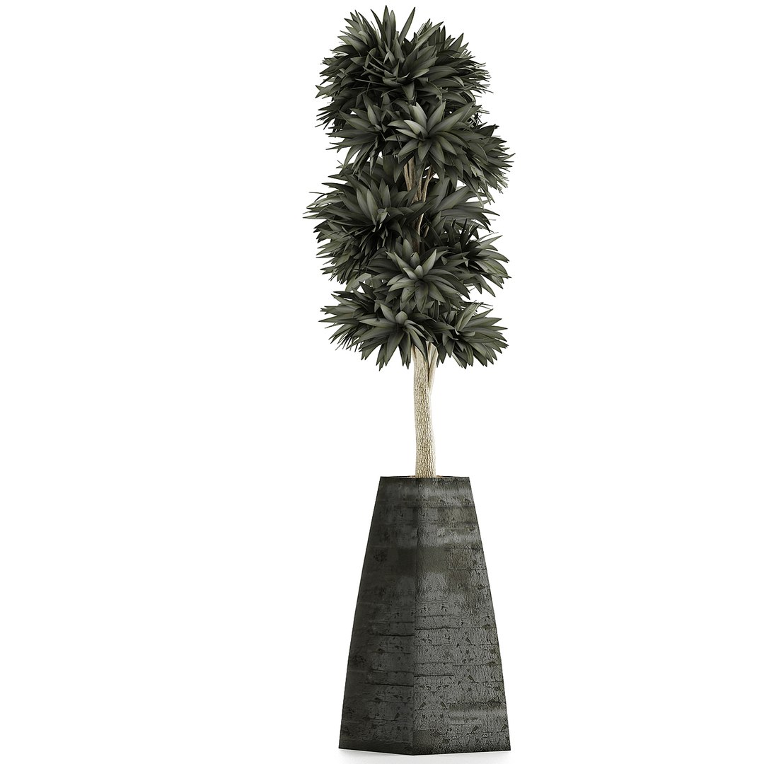 3D exotic plants trees model https://p.turbosquid.com/ts-thumb/mi/XfJbkJ/kiFuYoek/2/jpg/1600631576/1920x1080/fit_q87/f5bf5a7c8fd8daf44a8262cb9b2fc869d70cc74e/2.jpg