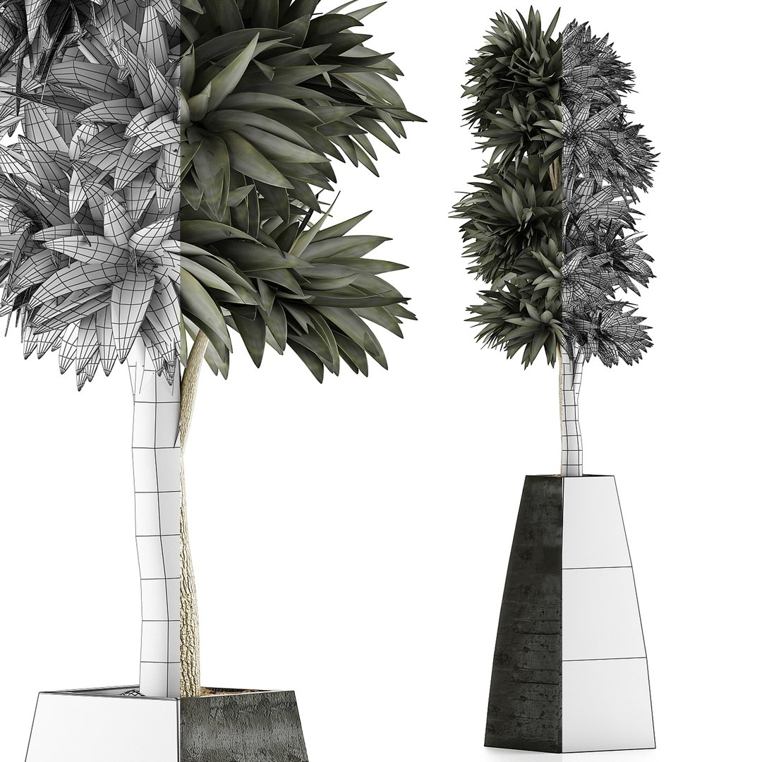3D exotic plants trees model https://p.turbosquid.com/ts-thumb/mi/XfJbkJ/ncZg0IM5/8/jpg/1600631577/1920x1080/fit_q87/97028aee73a0f159488ce32ad8d30f108108d3f6/8.jpg