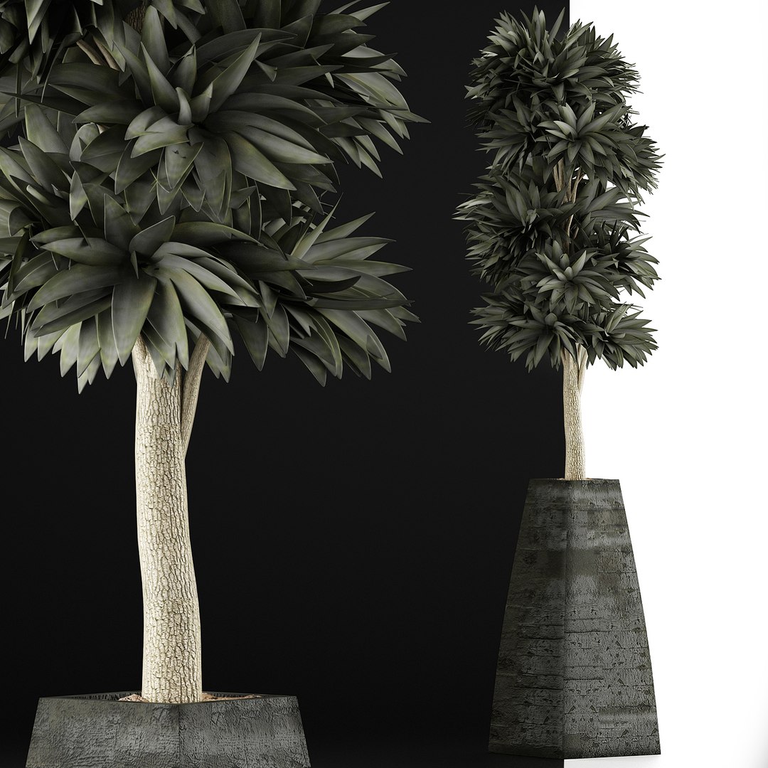 3D exotic plants trees model https://p.turbosquid.com/ts-thumb/mi/XfJbkJ/rMnE4fjK/6/jpg/1600631577/1920x1080/fit_q87/4ccebf1584c3f283fd866dccf2f36c89a8145b16/6.jpg