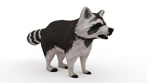 Siberian Husky Dog 3D model