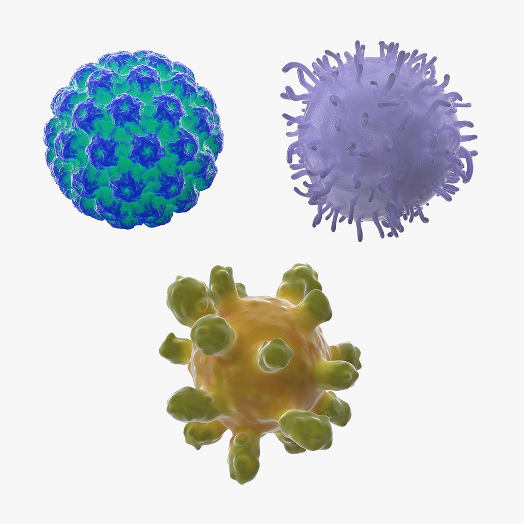 Human Viruses Collection 3D model preview