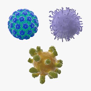 Human Viruses Collection
