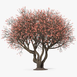 3D twigs rhododendrons model