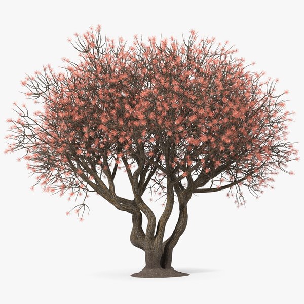 rhododendronwithtwigs3dmodel000.jpg