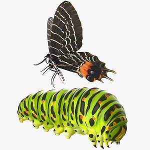 Swallowtail Butterfly and Caterpillar Rigged Collection for Maya