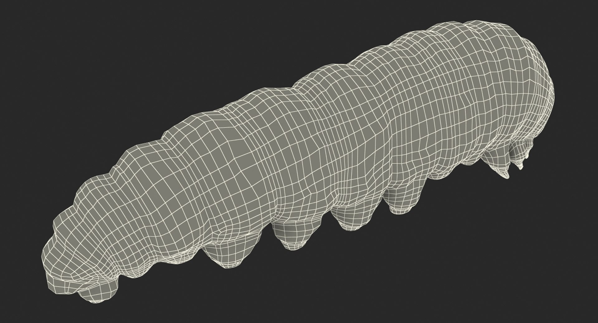 swallowtail butterfly caterpillar rigged model https://p.turbosquid.com/ts-thumb/mi/x9iAJk/j2MQqgWq/swallowtailbutterflyandcaterpillarcollectionmb3dmodel014/jpg/1513802419/1920x1080/fit_q87/e2d9a43ca7efe62a5ae580758864a1565cfb5f78/swallowtailbutterflyandcaterpillarcollectionmb3dmodel014.jpg