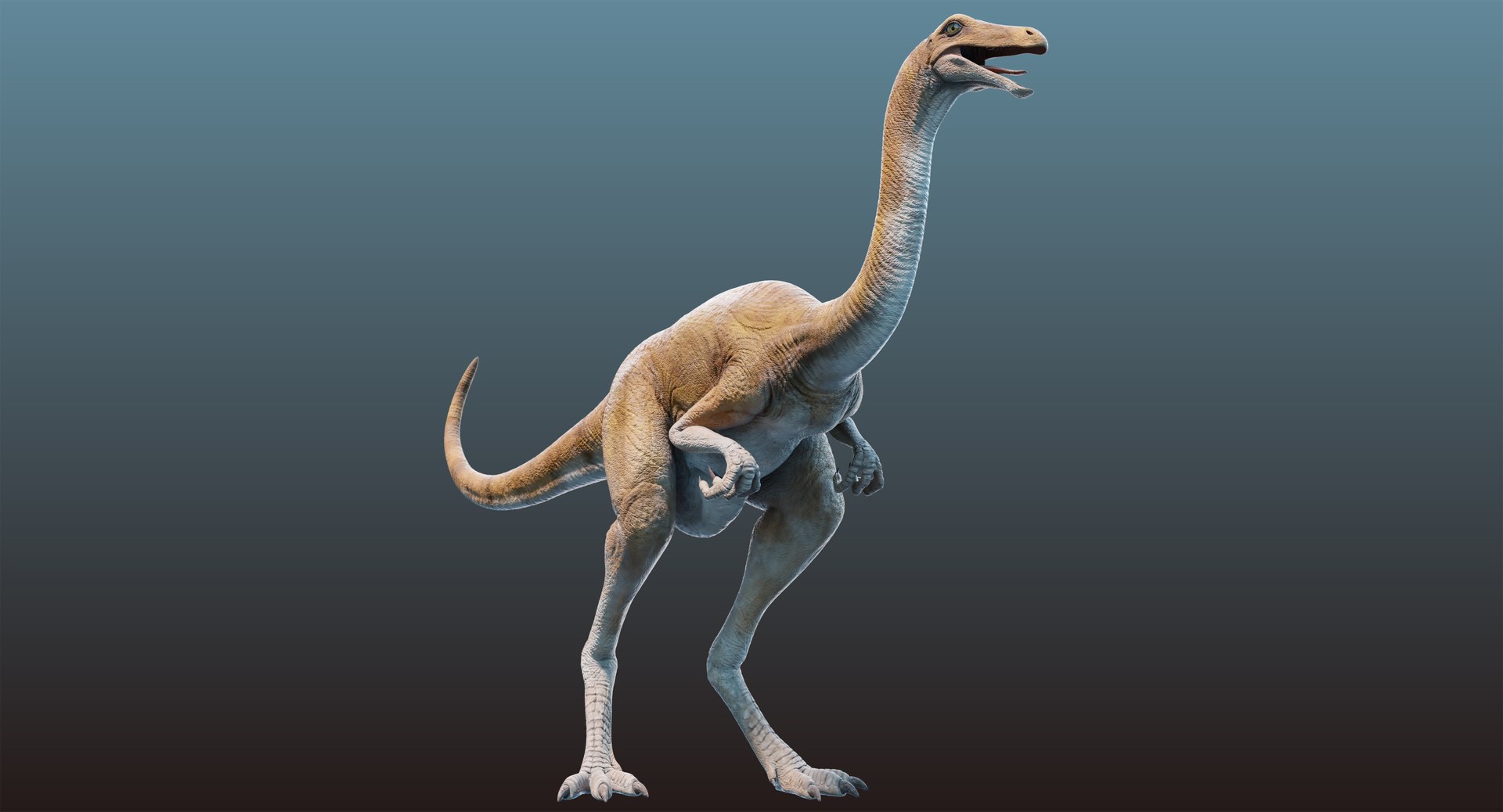 dinosaur gallimimus ornithomimus 3D model https://p.turbosquid.com/ts-thumb/mi/yCcDZ1/24ppcuPK/8_context/jpg/1533482679/1920x1080/fit_q87/862406dac9c3ea207923d42acedd2ecea72b614d/8_context.jpg