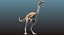 dinosaur gallimimus ornithomimus 3D model
