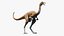 dinosaur gallimimus ornithomimus 3D model