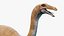 dinosaur gallimimus ornithomimus 3D model