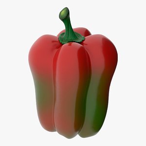 bell pepper 3D model