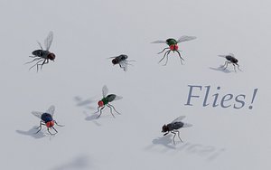 Flies for blender