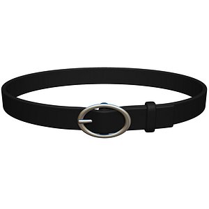 3D belt model