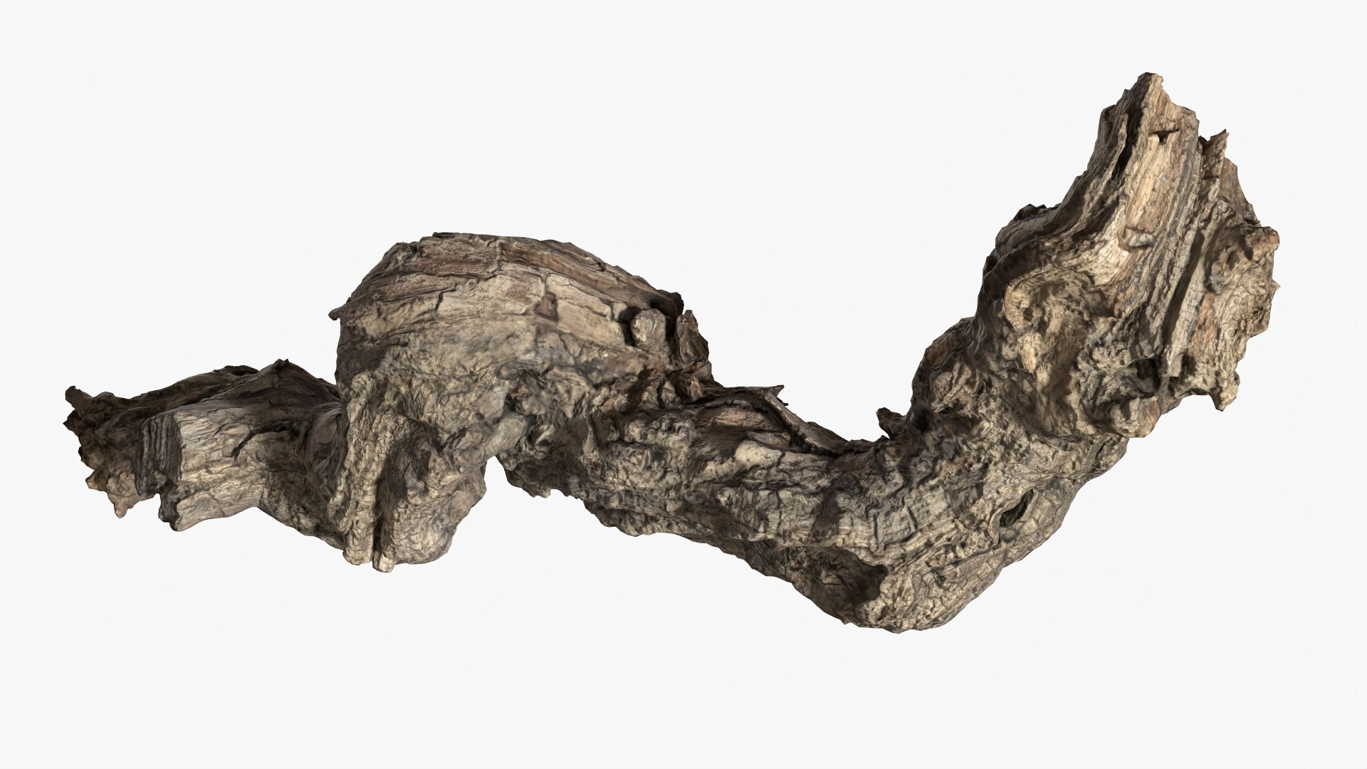 3D model Grapevine Bark 3D Scanned  StemCell https://p.turbosquid.com/ts-thumb/mj/KgEXPv/Qb/grapevinebark_p3/jpg/1726476958/1920x1080/fit_q87/6edeaf5834da6dc1f23ba0ab58fa69a3c9cd364e/grapevinebark_p3.jpg