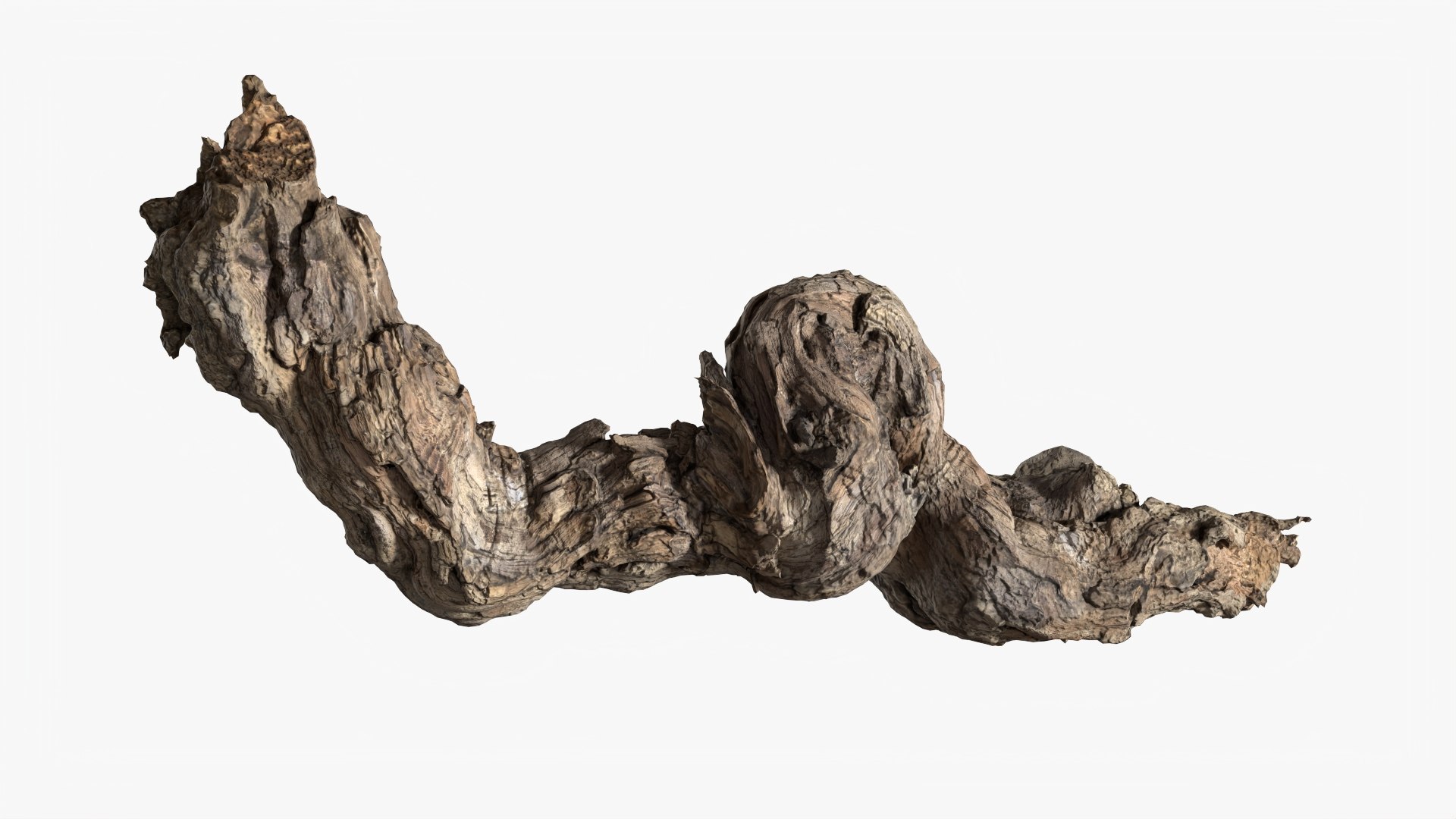 3D model Grapevine Bark 3D Scanned  StemCell https://p.turbosquid.com/ts-thumb/mj/KgEXPv/dB/grapevinebark_p1/jpg/1726476946/1920x1080/fit_q87/6d40cf1e9863b2717b9d026417bb5335b8208778/grapevinebark_p1.jpg