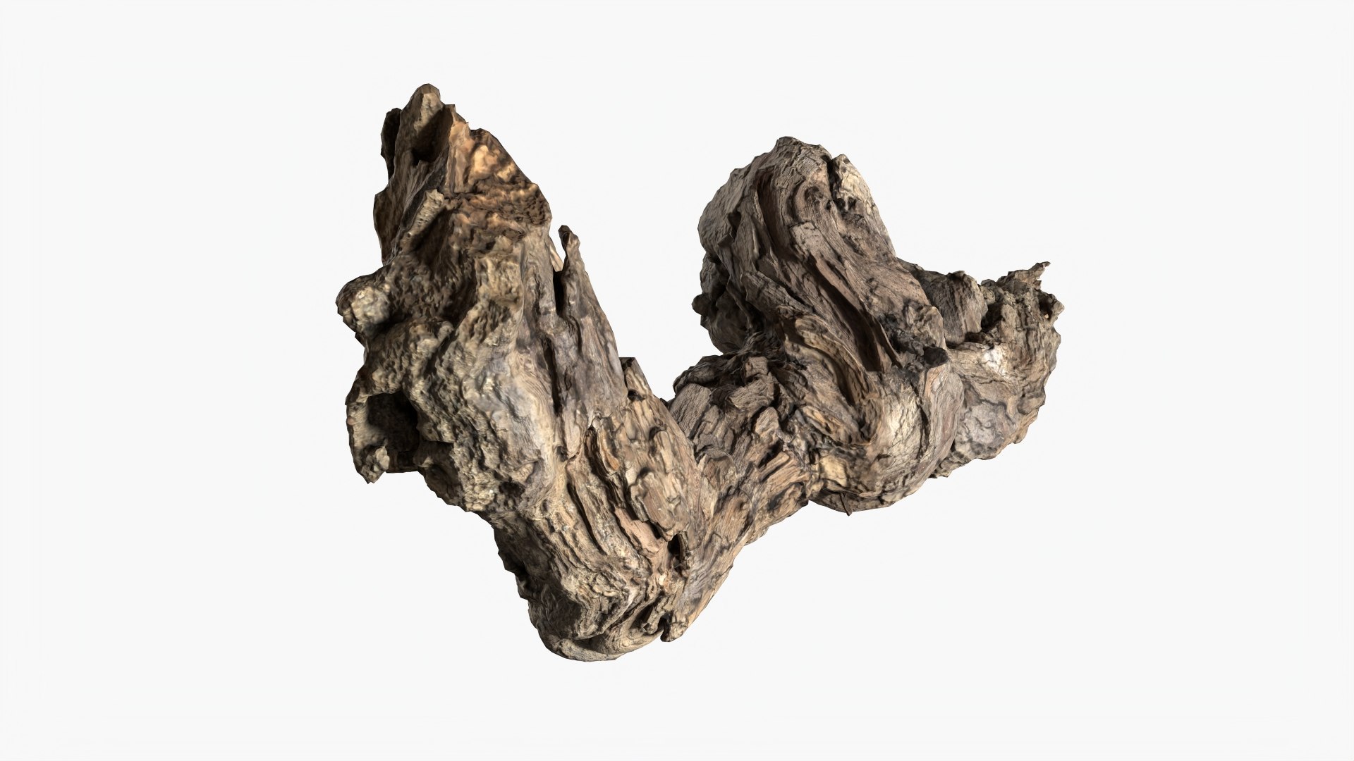3D model Grapevine Bark 3D Scanned  StemCell https://p.turbosquid.com/ts-thumb/mj/KgEXPv/ji/grapevinebark_p2/jpg/1726476944/1920x1080/fit_q87/e6a41bd49e8292148e811676626b93b718bd4159/grapevinebark_p2.jpg