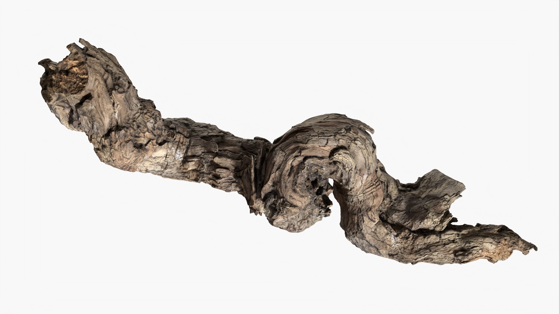 3D model Grapevine Bark 3D Scanned  StemCell https://p.turbosquid.com/ts-thumb/mj/KgEXPv/vF/grapevinebark_p5/jpg/1726476959/1920x1080/fit_q87/2ba68156f888e6cebab4a27042222c5ec8e7365f/grapevinebark_p5.jpg