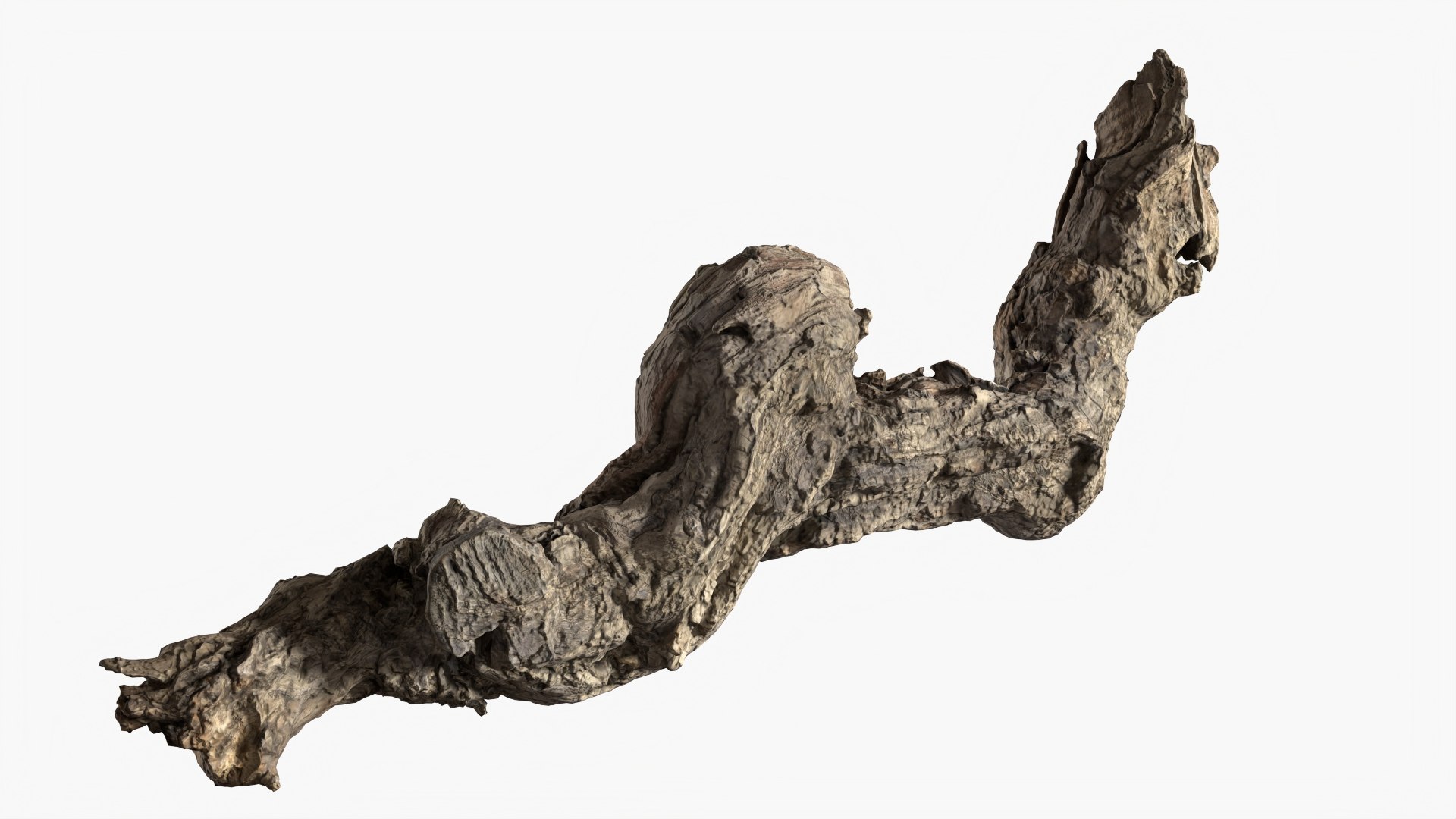 3D model Grapevine Bark 3D Scanned  StemCell https://p.turbosquid.com/ts-thumb/mj/KgEXPv/wh/grapevinebark_p4/jpg/1726476958/1920x1080/fit_q87/8652160edb0b2edbc835af167785a7b9b897483a/grapevinebark_p4.jpg