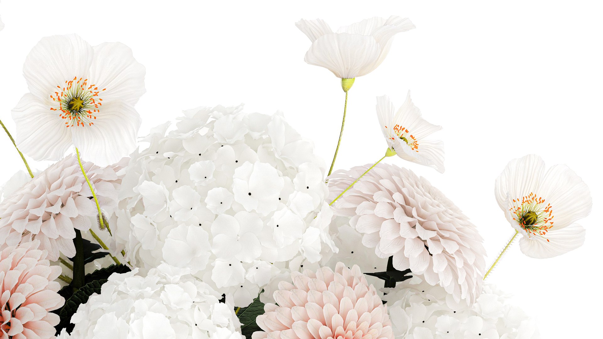 3D model Realistic White Bouquet Chrysanthemum Poppy hydrangea 622 https://p.turbosquid.com/ts-thumb/mj/LUNtGB/9K/1bouquet160906/jpg/1758282837/1920x1080/fit_q87/1de8b550b57b61b71ac6c9e9adce430c1bd5665d/1bouquet160906.jpg