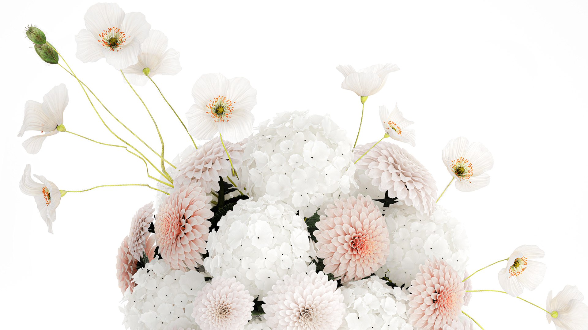3D model Realistic White Bouquet Chrysanthemum Poppy hydrangea 622 https://p.turbosquid.com/ts-thumb/mj/LUNtGB/DJ/1bouquet160903/jpg/1758282836/1920x1080/fit_q87/246e7aeeb6890f1deebb9ddf1e5287ebbe1c0be2/1bouquet160903.jpg