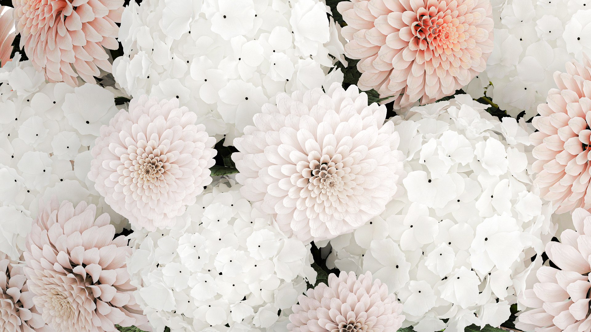 3D model Realistic White Bouquet Chrysanthemum Poppy hydrangea 622 https://p.turbosquid.com/ts-thumb/mj/LUNtGB/Fe/1bouquet160908/jpg/1758282839/1920x1080/fit_q87/12229fbd5640a2e525451f99119db2a58ff332f5/1bouquet160908.jpg