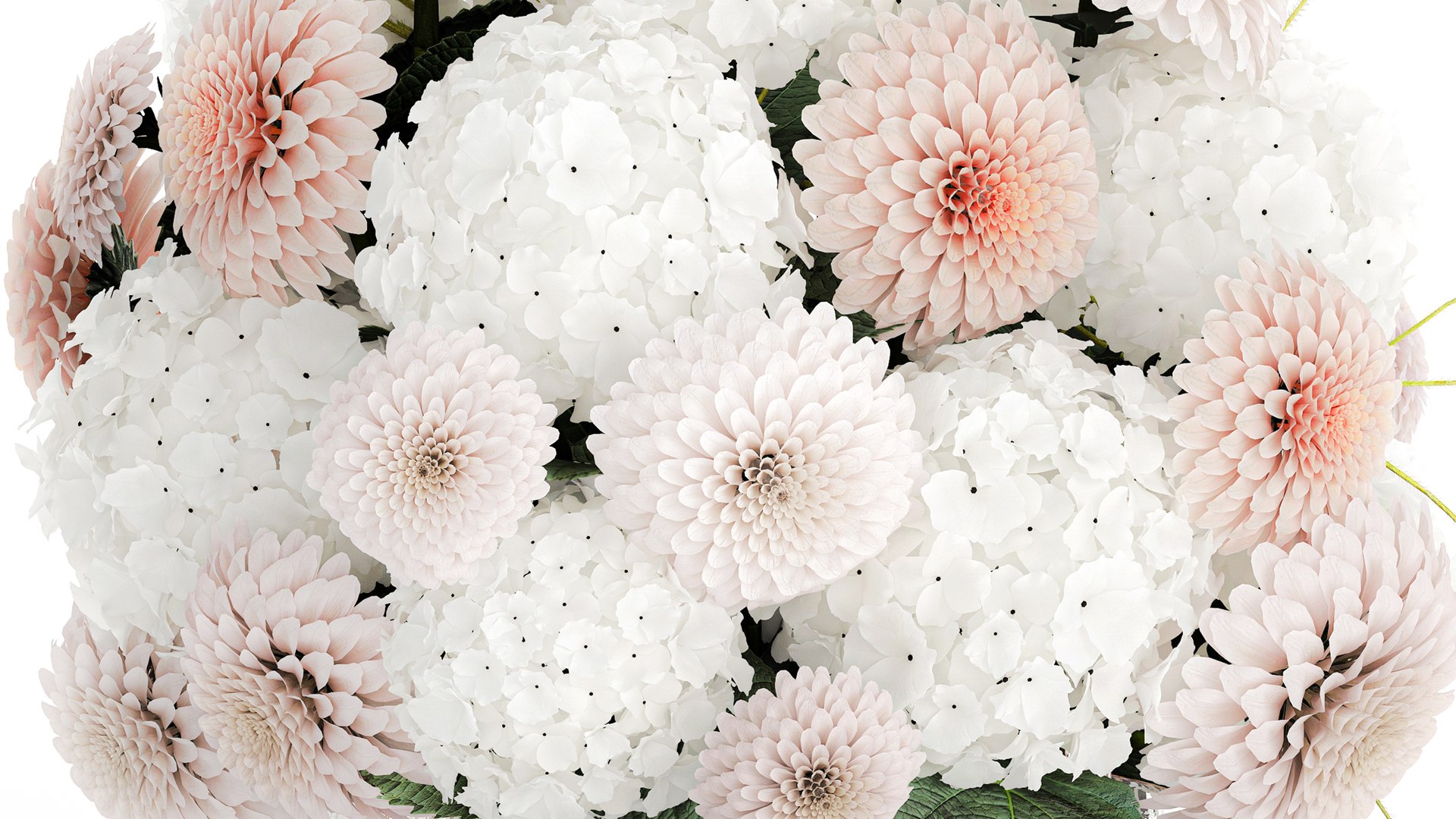 3D model Realistic White Bouquet Chrysanthemum Poppy hydrangea 622 https://p.turbosquid.com/ts-thumb/mj/LUNtGB/Nu/1bouquet160905/jpg/1758282837/1920x1080/fit_q87/1e5f7d3eeb3f6c9d101d8b2805422708ddab736c/1bouquet160905.jpg