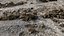Gravel Ground 09 - Digitalização de modelo de fotogrametria 3D de uma pilha de cascalho e areia