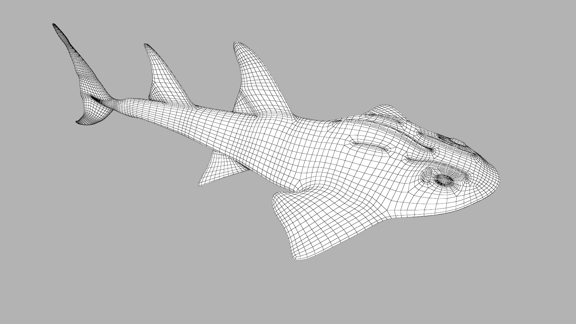 3D Bowmouth Guitarfish - TurboSquid 1466054