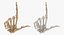 3D model Human Hand Bones Loser Sign White and Yellow Collection 01 - 2 models