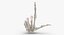 3D model Human Hand Bones Loser Sign White and Yellow Collection 01 - 2 models
