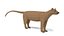 Low Poly Cartoon Fossa 3D model