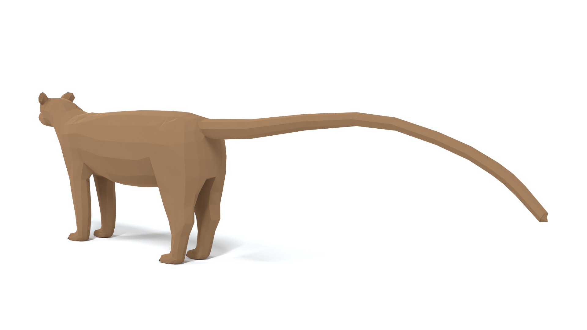 Low Poly Cartoon Fossa 3D model - TurboSquid 1823426