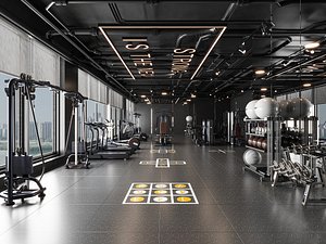 3D Modern gym