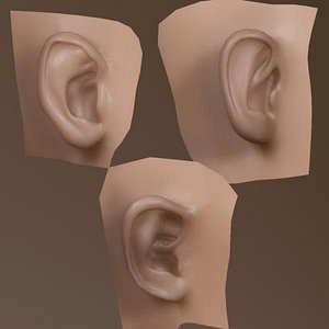 3d model ears people mind