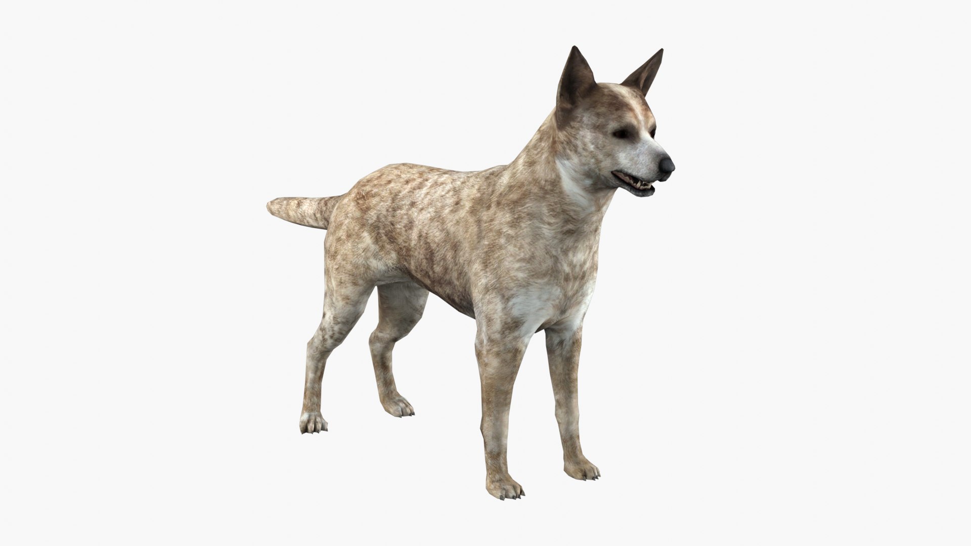 3D Model Rabid Dog RIGGED - TurboSquid 2330451