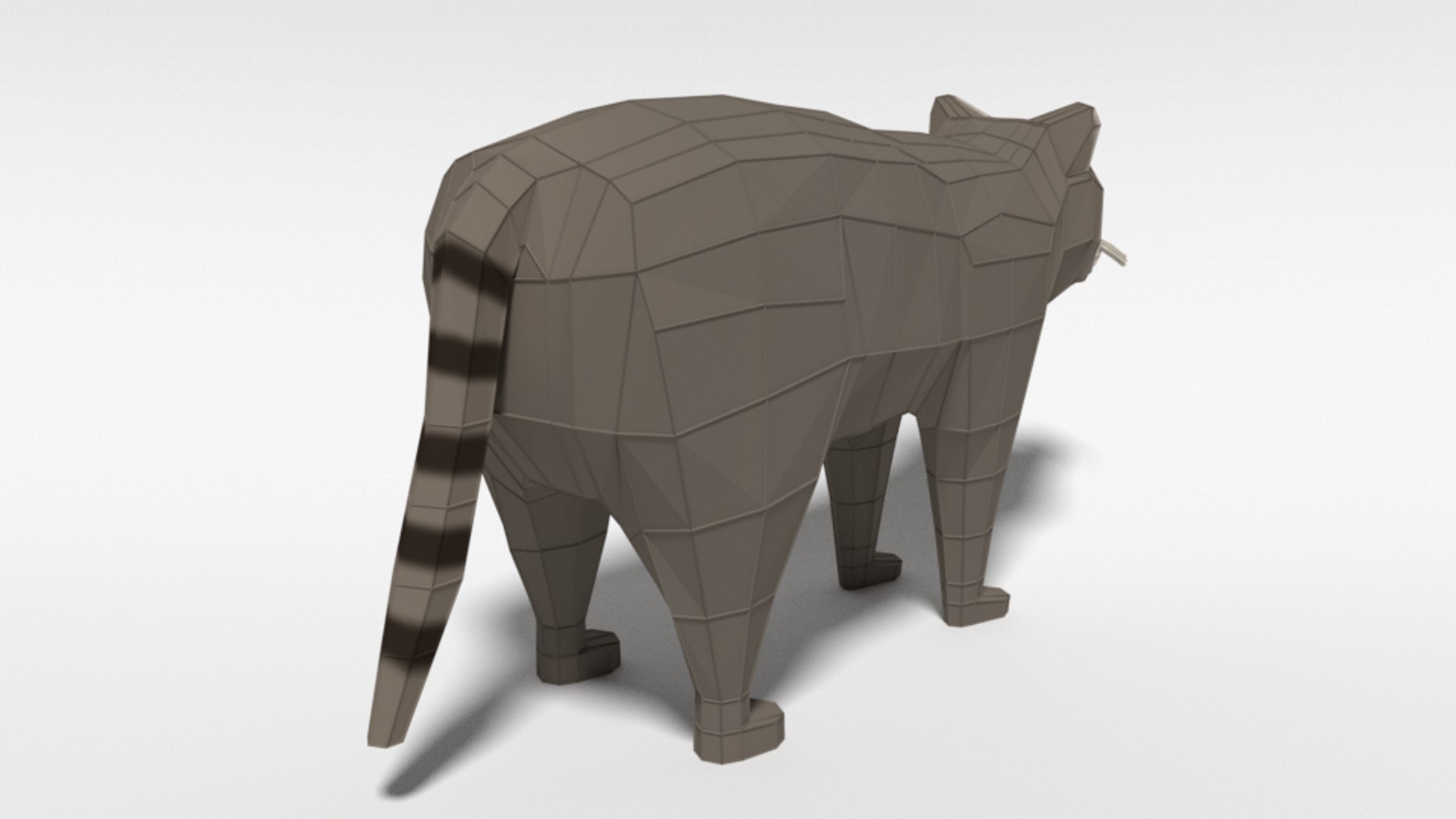 3D Raccoon Nature Model - TurboSquid 1472836