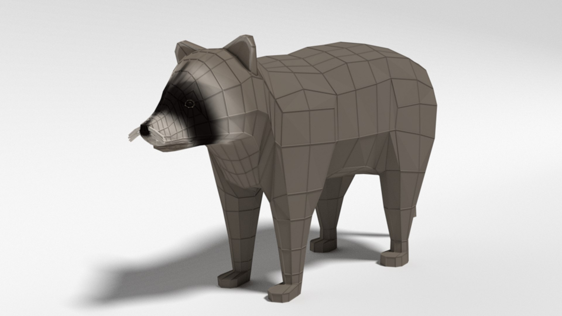 3D Raccoon Nature Model - TurboSquid 1472836