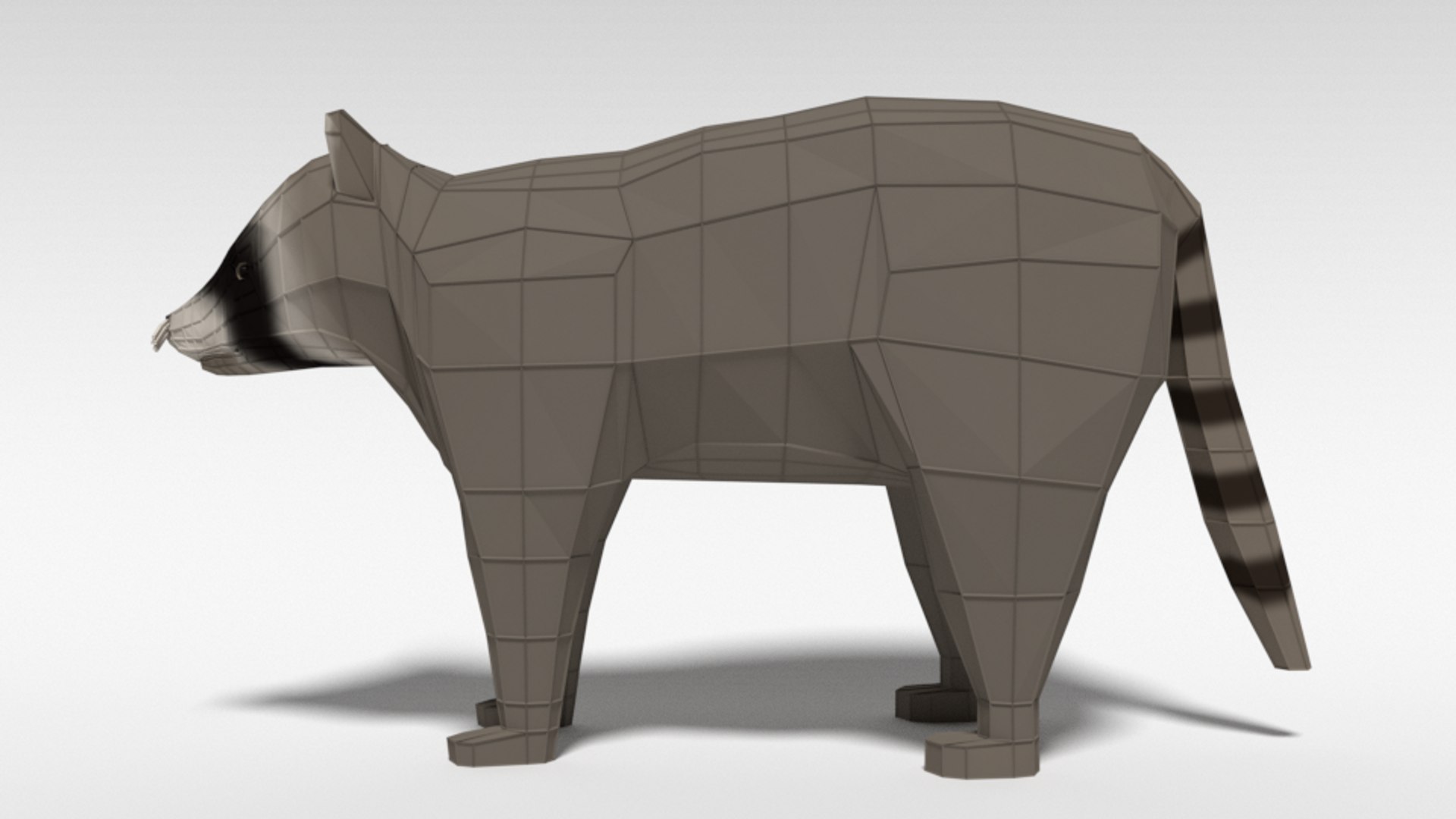 3D Raccoon Nature Model - TurboSquid 1472836